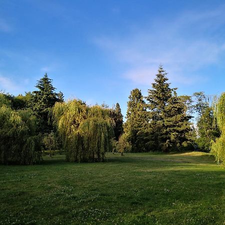 Entire Forest Home Near Nature & Amenities Surrey Buitenkant foto