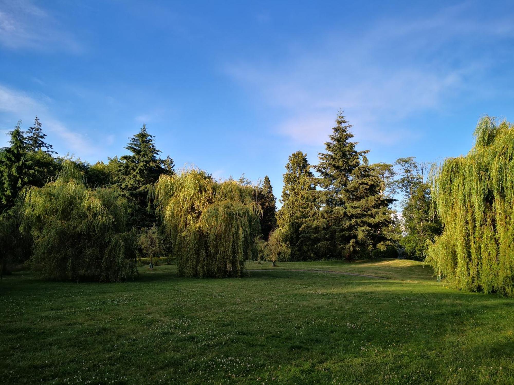 Entire Forest Home Near Nature & Amenities Surrey Buitenkant foto